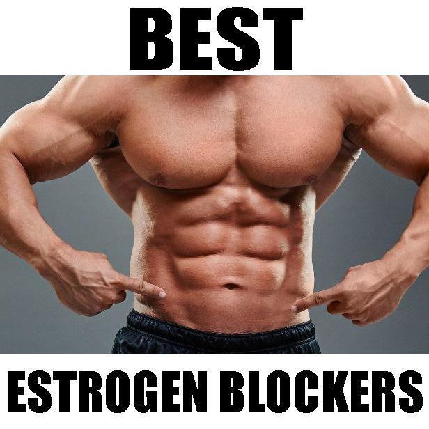 Top 10 Estrogen Blockers and Anti-Estrogen Supplements