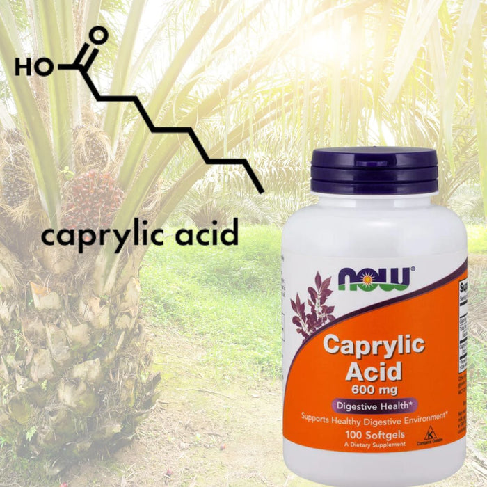 What Are Caprylic Acid, Tricaprin, and MCT Oil? | Ingredient Profile