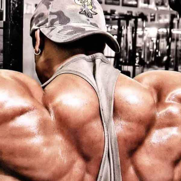 Prohormone Ingredient Guide | Easy to Read Chart