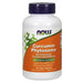 Now Foods Vitamins, Minerals, Herbs & More Now Foods Curcumin Phytosome 500 Mg 60 Vegetable Capsules