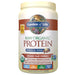 Garden of Life Sports Nutrition & More Vanilla Spiced Chai Garden of Life Raw Protein 1lbs