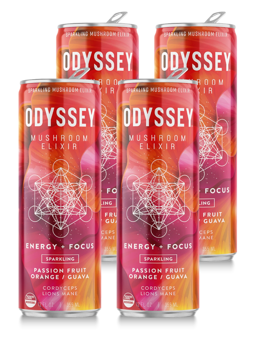 OdysseyElixir Drinks Sparkling Energy + Focus Odyssey Mushroom Elixir 12 Pack