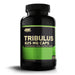Optimum Nutrition Sports Nutrition & More Optimum Nutrition Tribulus Terrestris 625mg 100 Caps