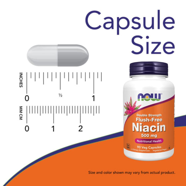 Now Foods Vitamins, Minerals, Herbs & More Now Foods Flush Free Niacin 500 Mg 90 Capsules