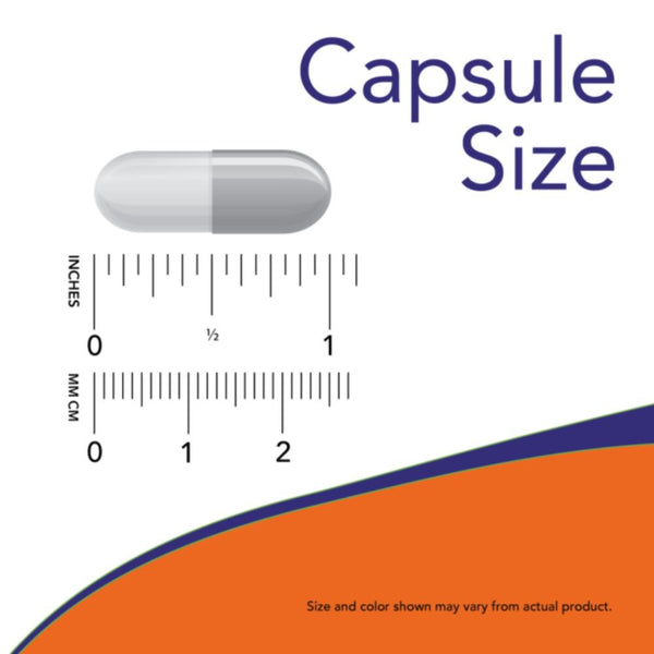 Now Foods Vitamins & Minerals Now Foods Alphasorb-C 500 180 Capsules