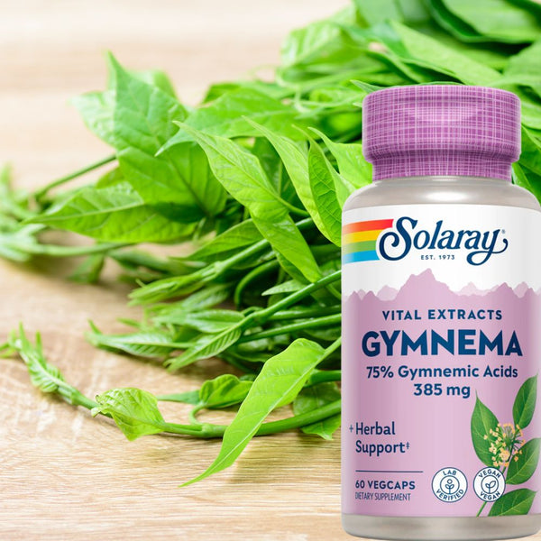 Solaray Vitamins, Minerals, Herbs & More Solaray Gymnema Leaf Extract 385mg 60 Capsules