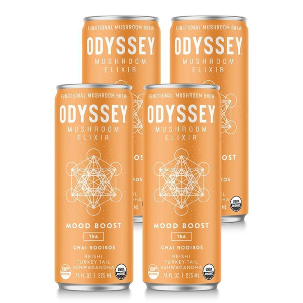 OdysseyElixir Drinks Mood Boost Chair Rooibos Odyssey Mushroom Elixir 7.4oz 12 Pack
