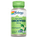 Solaray Store Stock Only Solaray Chickweed 385mg 100 Capsules