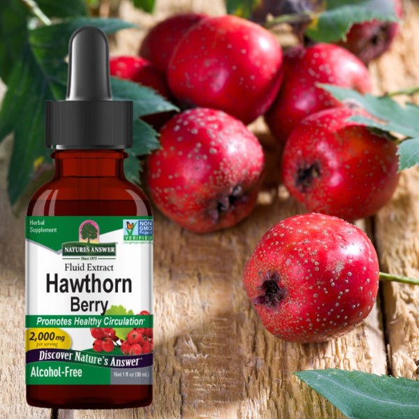 Nature's Answer Herbs Nature's Answer Hawthorne 1oz
