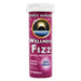Source Naturals Vitamins, Minerals, Herbs & More Source Naturals Wellness Fizz 10 Wafers (581440602156)