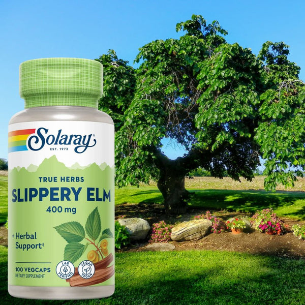 Solaray Vitamins, Minerals, Herbs & More Solaray Slippery Elm Bark 400mg 100 Capsules