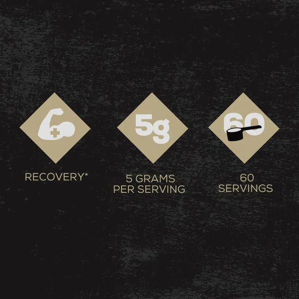 Redcon 1 Amino Acids Redcon1 Basic Training Series Glutamine 60 Servings