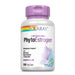 Solaray Vitamins, Minerals, Herbs & More Solaray PhytoEstrogen 120 caps