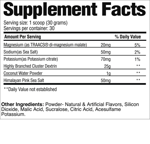 Raw Sports Performance Recovery RAW Intra Workout 30 Servings