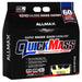 Allmax Nutrition Sports Nutrition & More Vanilla Allmax Nutrition QuickMass Loaded 12 Lbs