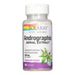 Solaray Herbs Solaray Andrographis Aerial Extract 300mg 60VC (4373273215091)