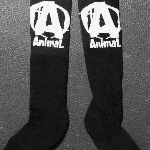 Universal Apparel Accesories Books Animal Socks (1283636002860)